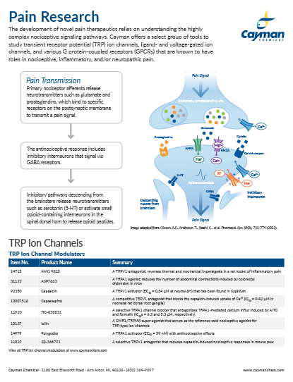 <p>​Pain Research<br></p>